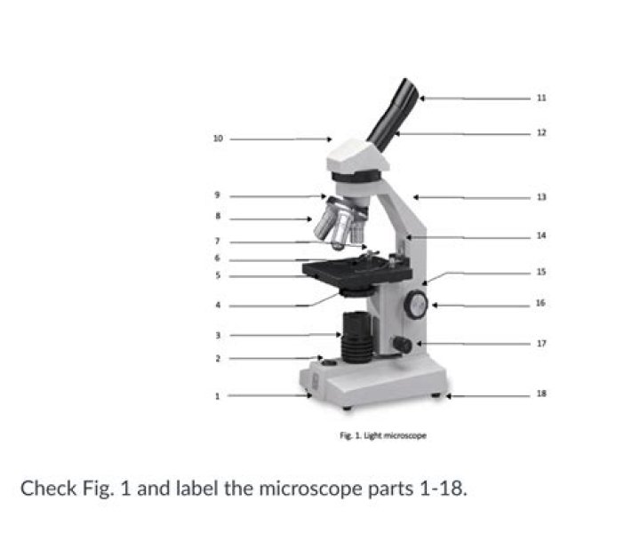 what is the meaning of microscope