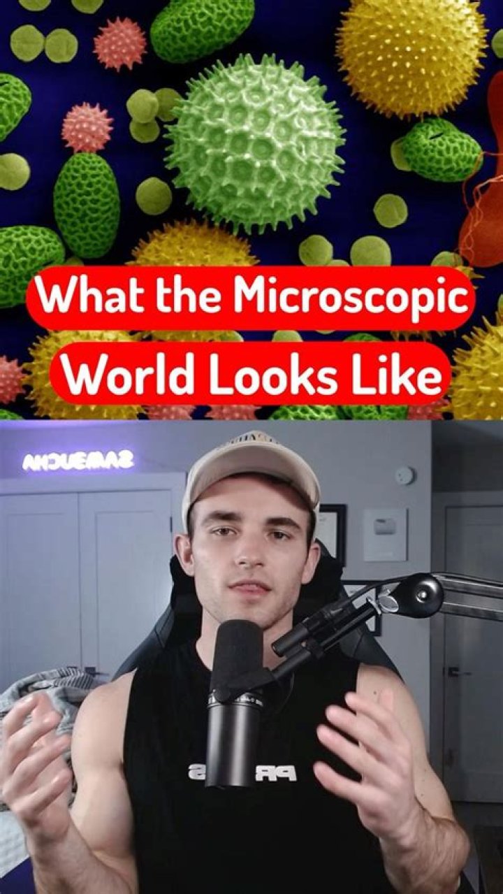 what is the microscopic world