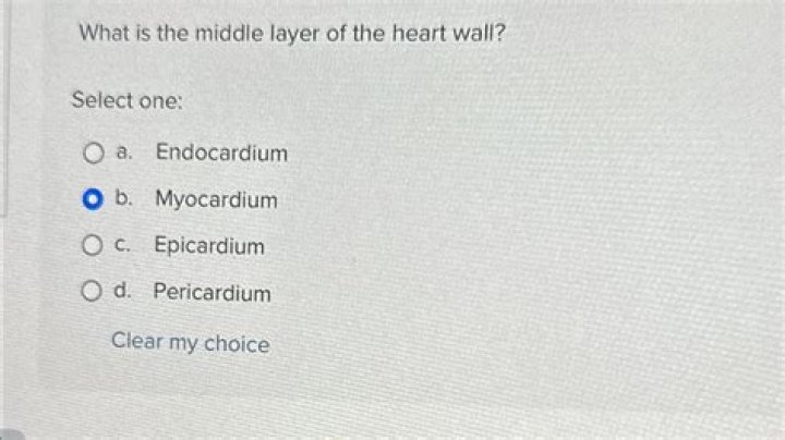 what is the middle layer of the heart
