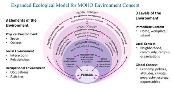 what is the moho, and how is its depth determined?