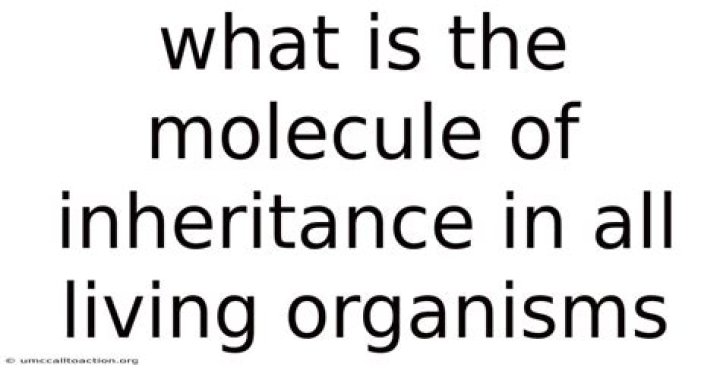 what is the molecule of inheritance
