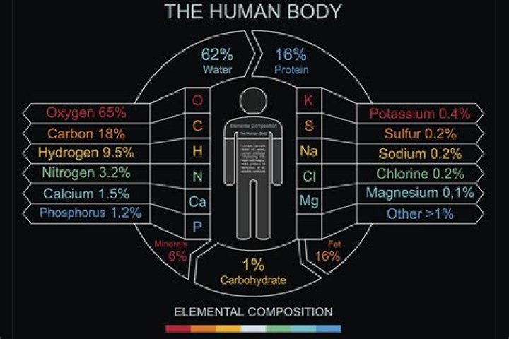 what is the most abundant metal in the human body