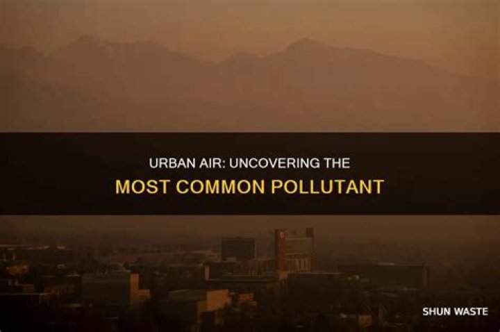 what is the most abundant pollutant found in urban air?