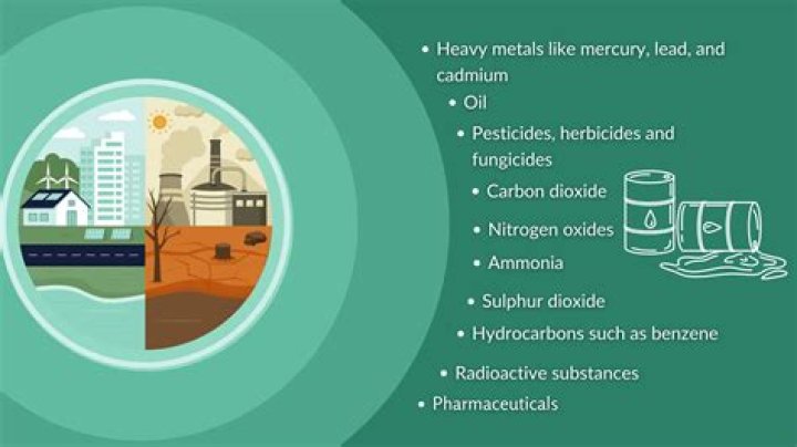 what is the most harmful thing to the environment