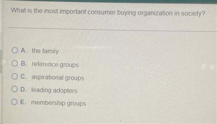what is the most important consumer buying organization in society