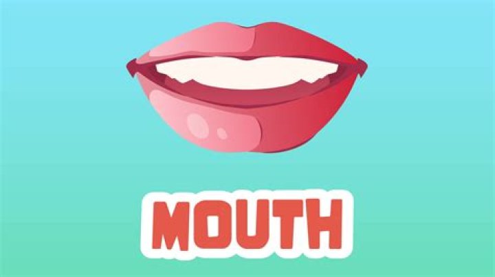 what is the mouth of a stream