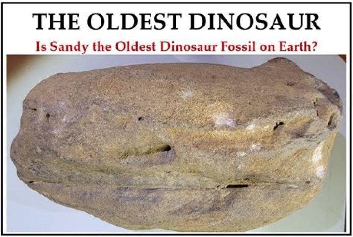 what is the oldest dinosaur