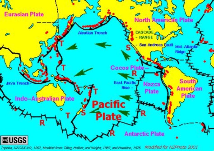 what is the pacific plate