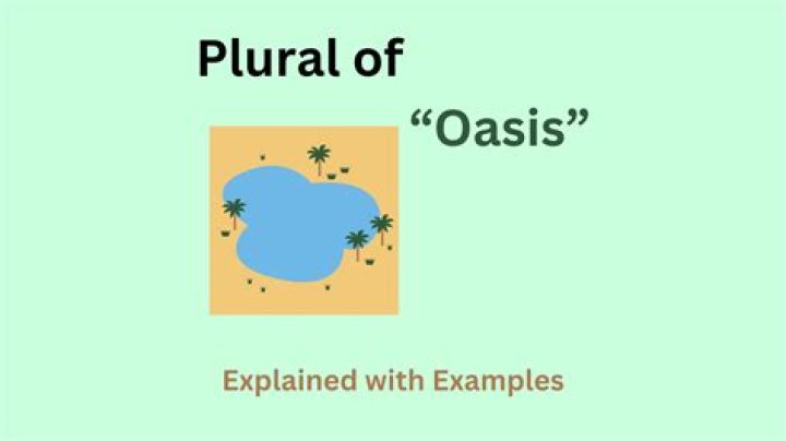 what is the plural of oasis