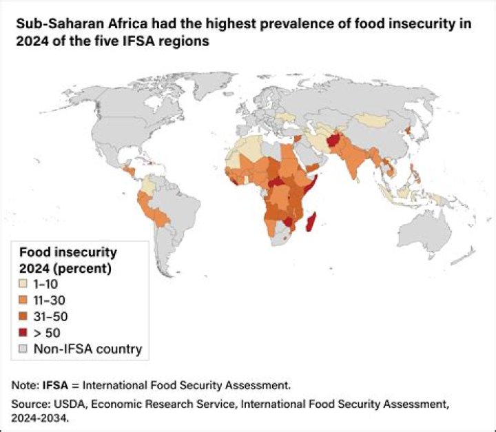 what is the primary cause of the new food crisis in sub-saharan africa?