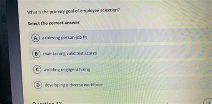 what is the primary goal of employee selection?