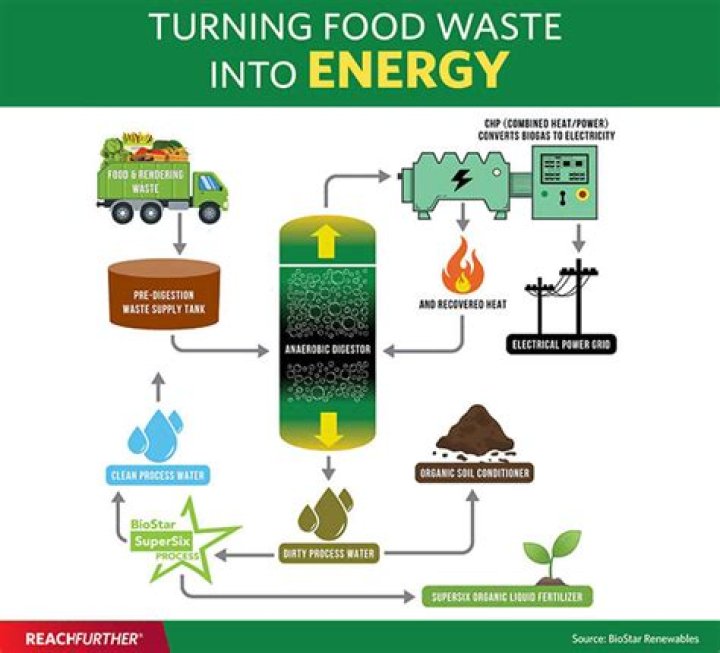 what is the process of turning food into energy called