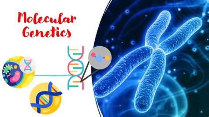 what is the promise of molecular genetics research