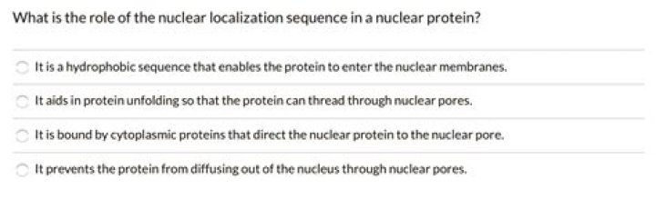 what is the role of the nuclear localization sequence in a nuclear protein?