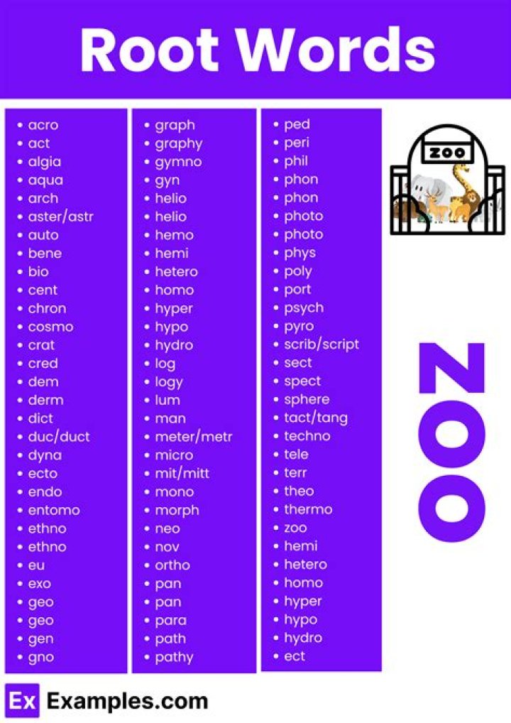 what is the root word for geographer