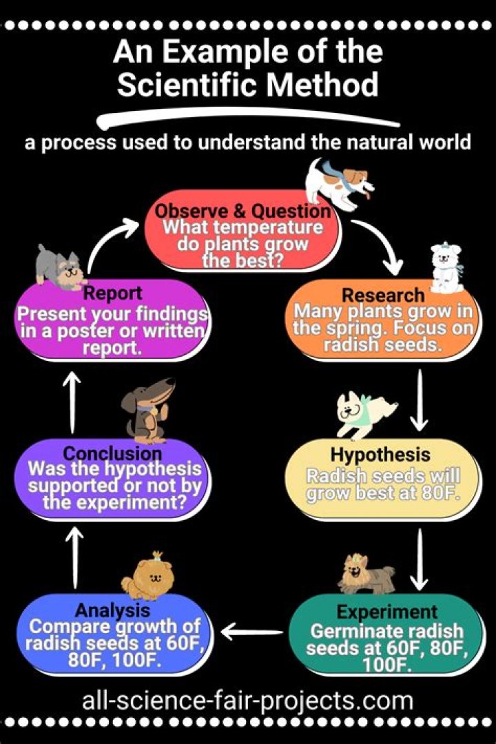 what is the scientific meaning of work