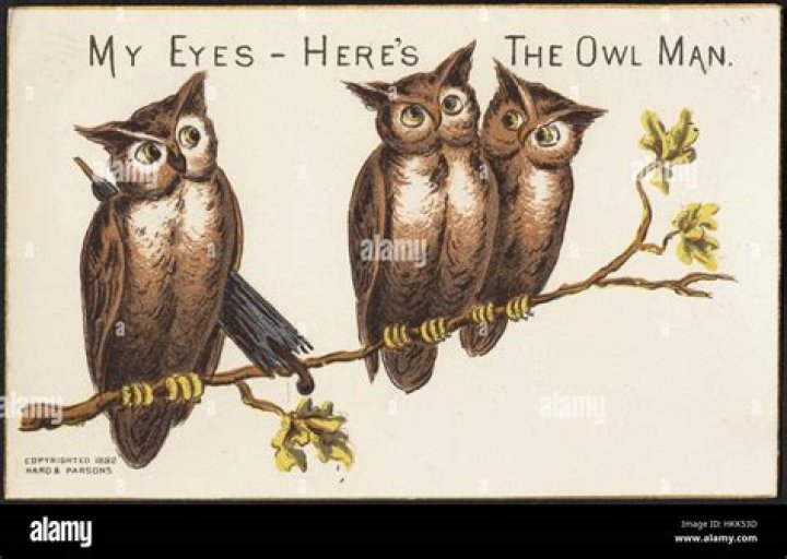 what is the significance of the owl eyed man