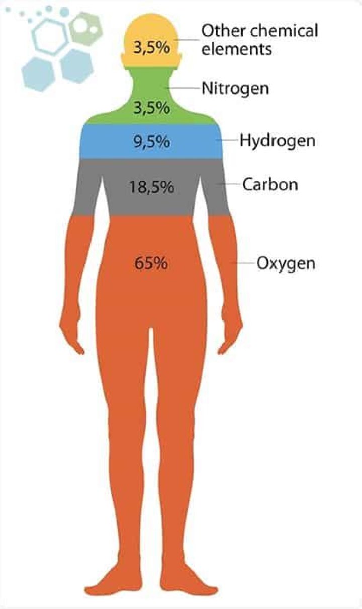 what is the single most abundant chemical substance in the body