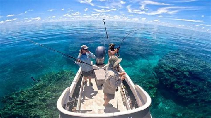what is the smallest fish in the great barrier reef