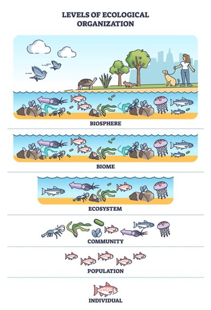 what is the smallest unit of ecological organization
