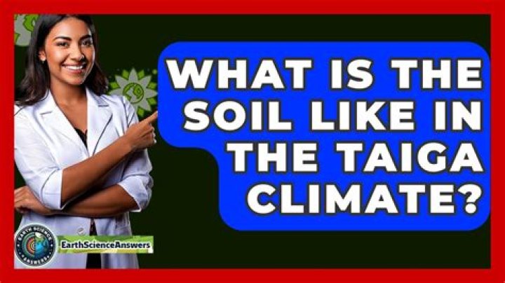 what is the soil like in the taiga