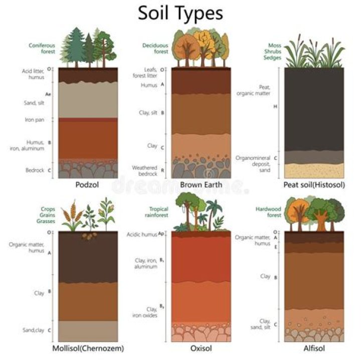 what is the soil type in the tundra