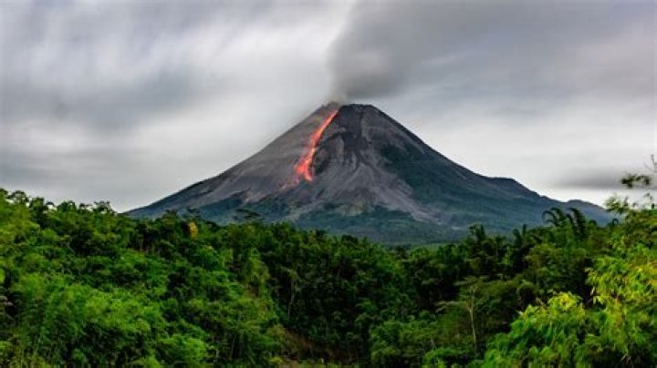 what is the study of volcanology