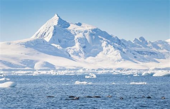 what is the tallest mountain in antarctica