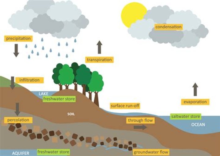 what is the term for the layers of porous material through which groundwater moves and is stored?
