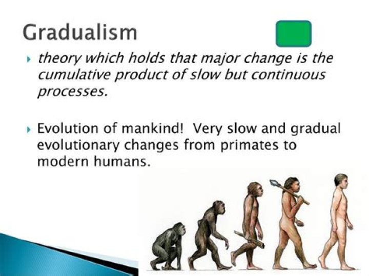 what is the theory of gradualism