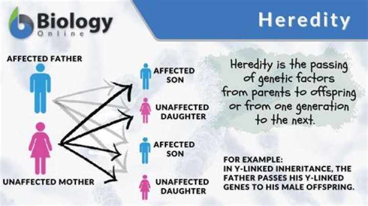 what is the unit of heredity