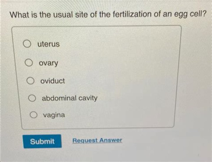 what is the usual site of the fertilization of an egg cell?