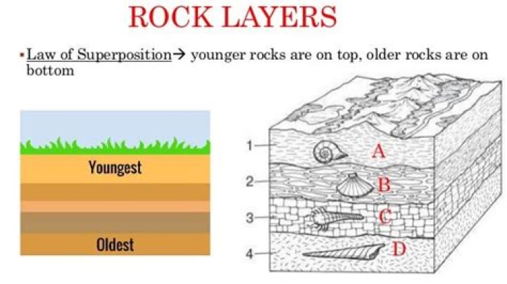 what is the youngest rock layer explain