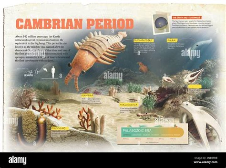 what is time period - Lisbd-net.com