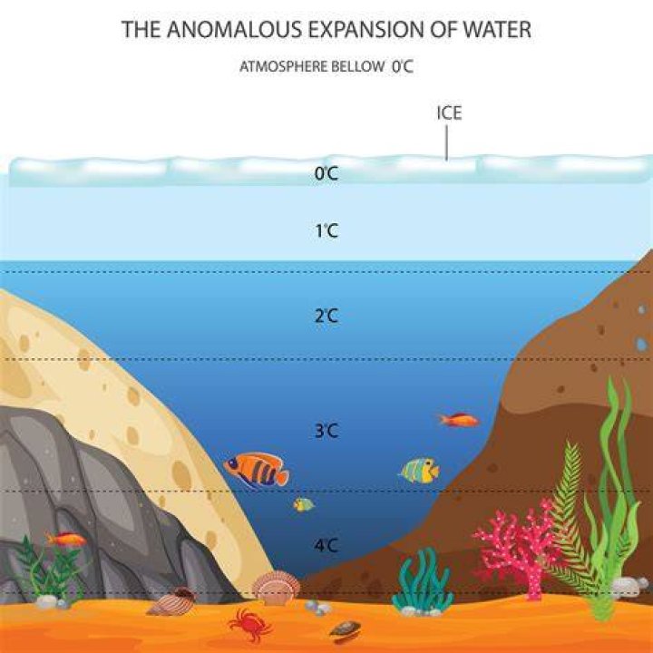 what is unusual about the behavior of water below the temperature of 4Â°c?