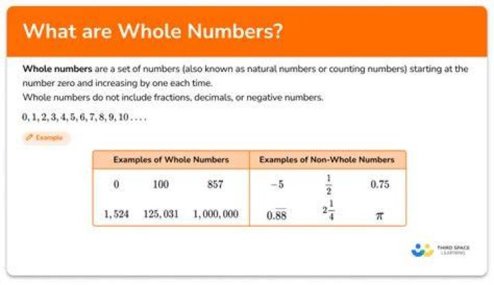 what is whole number with example