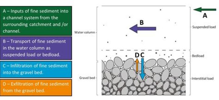 what is windblown fine sediment called
