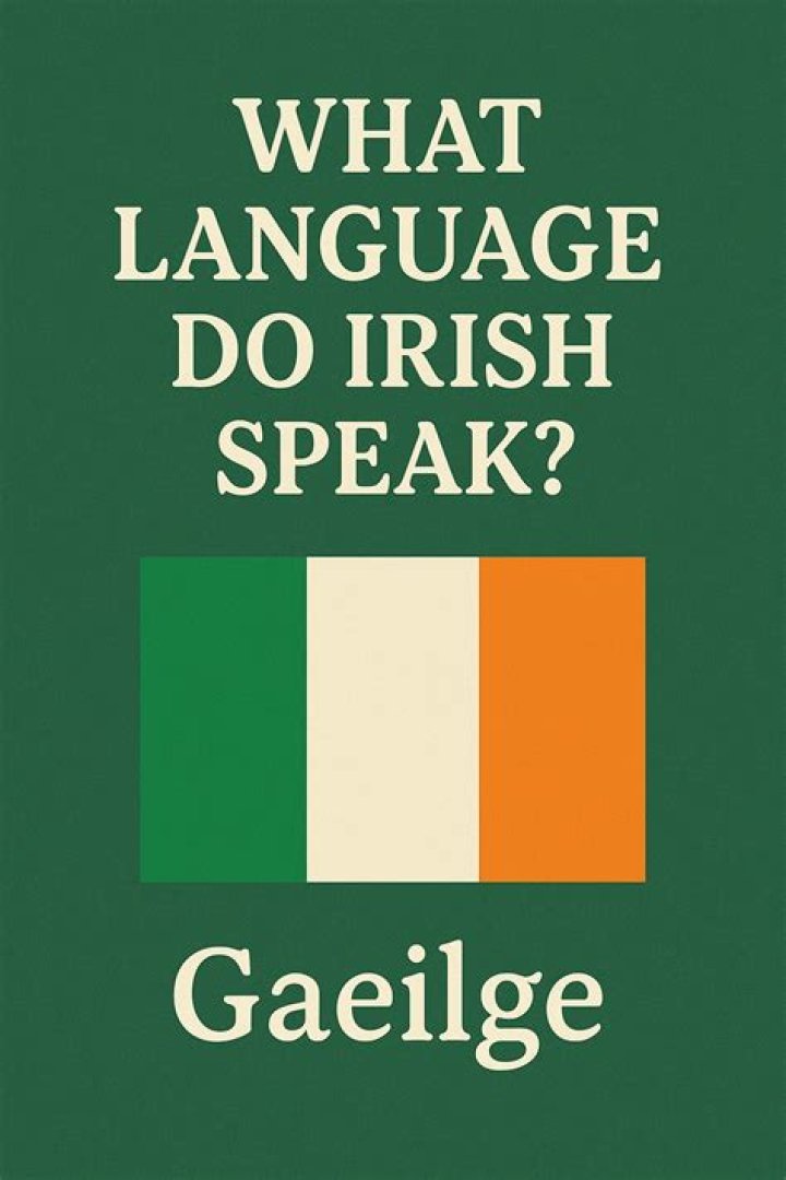what languages do they speak in ireland