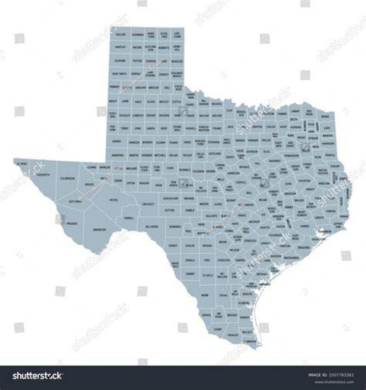 what large body of water borders texas