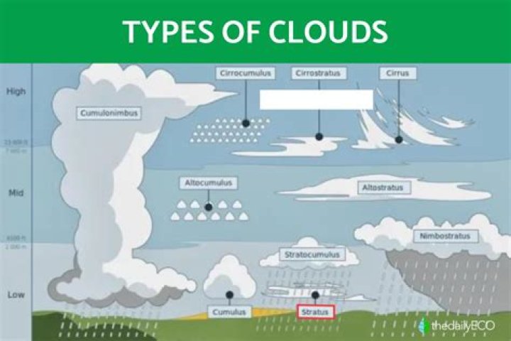 what latin word related to clouds means wispy