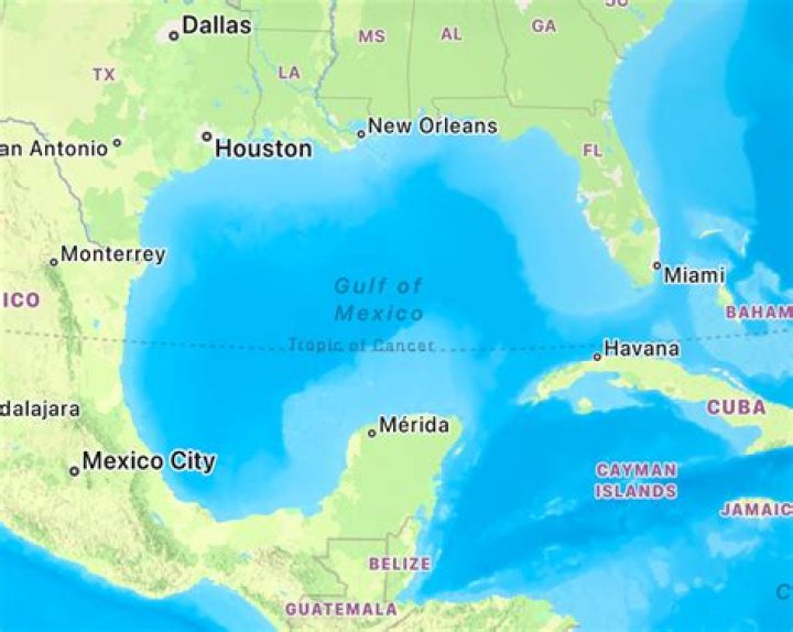 what made the gulf of mexico