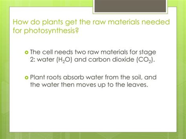 what materials are required for photosynthesis