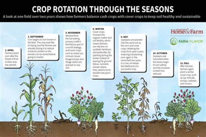 what most likely happens to soil when crops are not rotated from year to year?