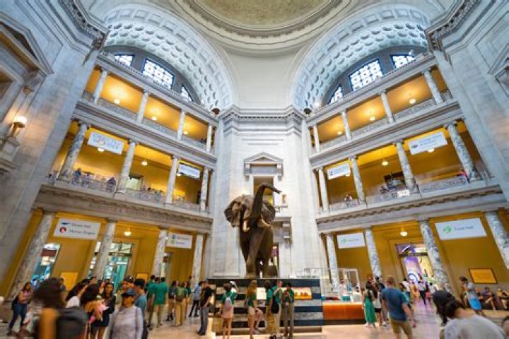 what museums are open in washington, dc