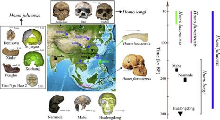 what must happen in order for a new species to evolve
