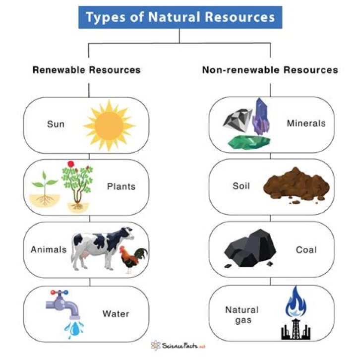 what natural resources does egypt have