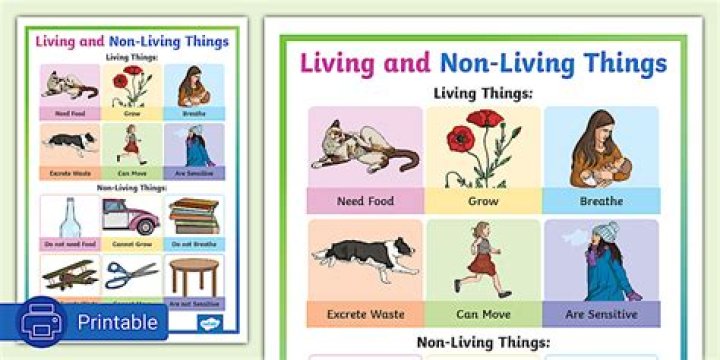 what non living things might you find in an ecosystem