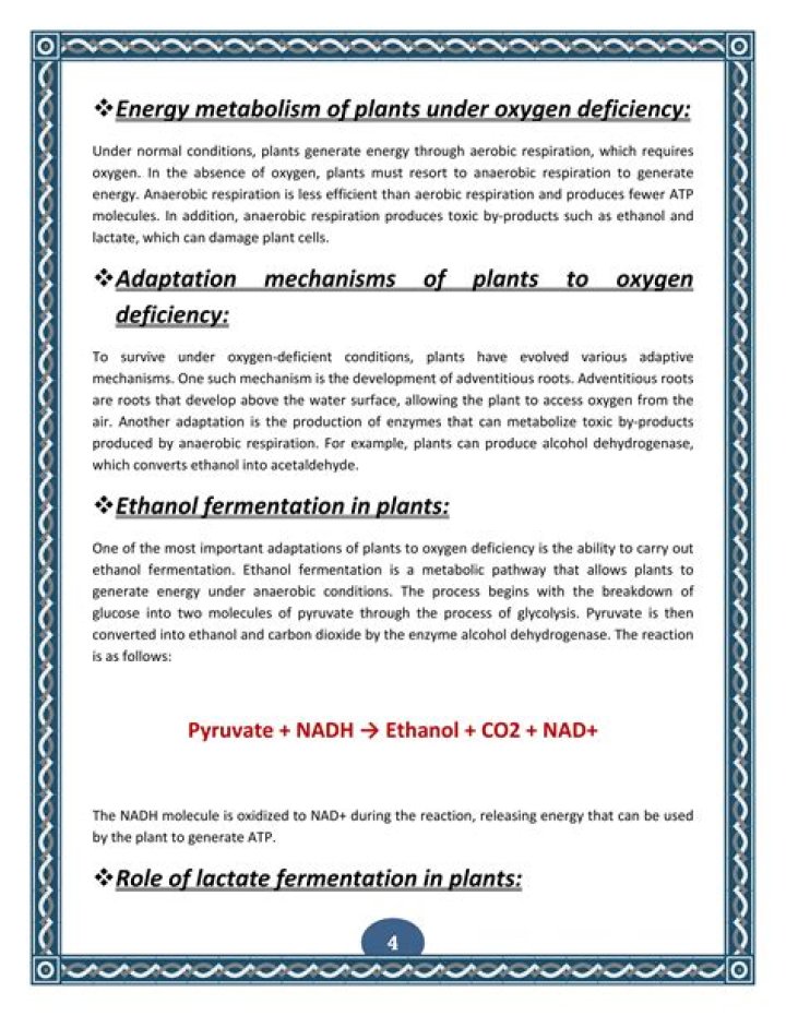 what nutrient can be used to produce energy in the absence of oxygen?