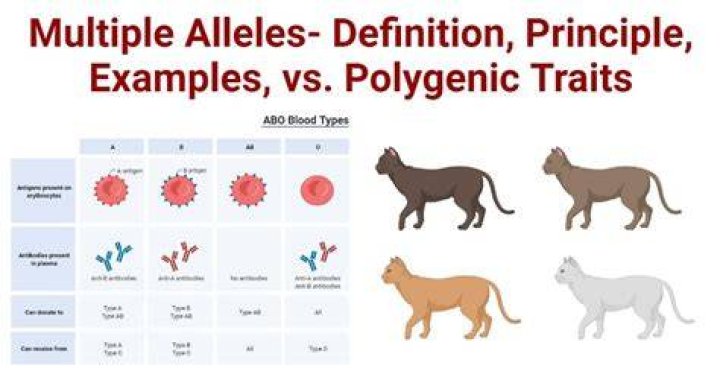 what other traits are likely to be controlled by multiple genes?