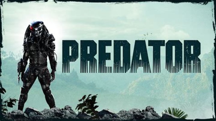 what predator am i - Lisbd-net.com
